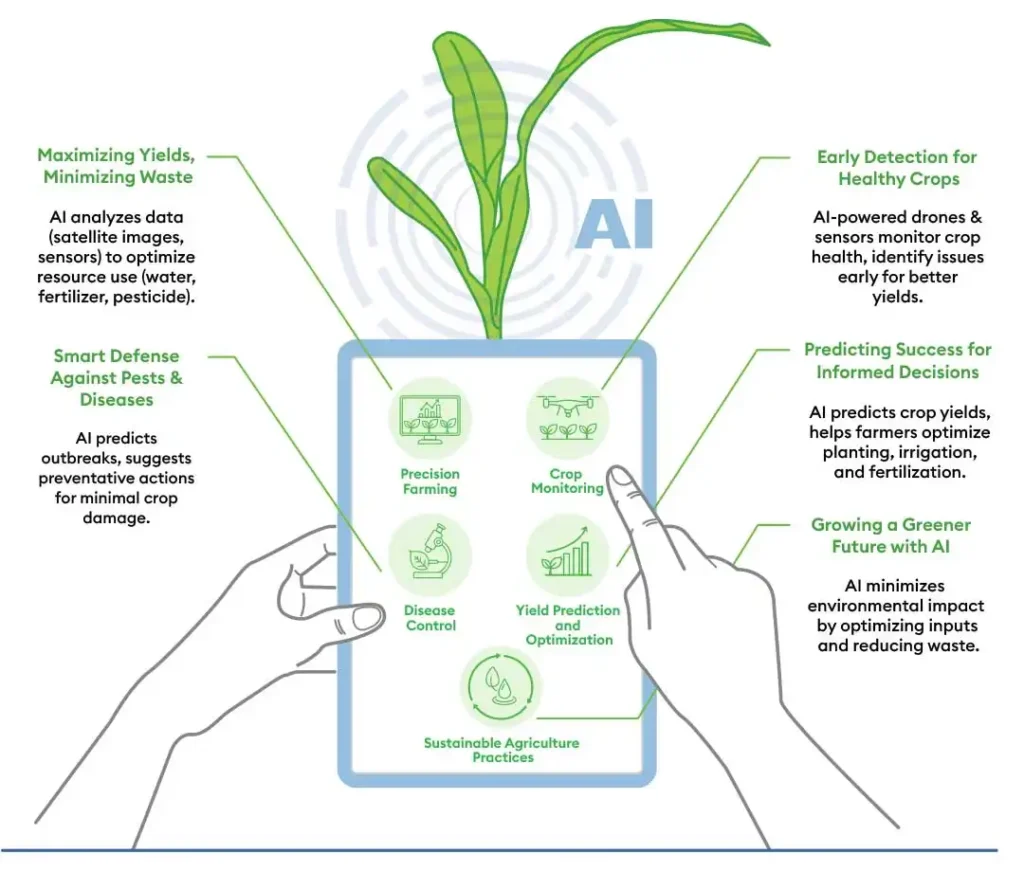 AI applications in enhancing agricultural productivity and sustainability