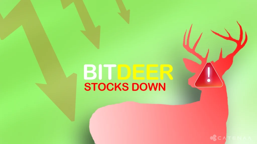 Bitdeer Stock Falls 30% After Earnings Miss, Analysts Stay Upbeat