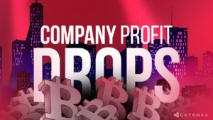 Bitcoin Strategy Backfires,100+ Companies Lose Stock Value