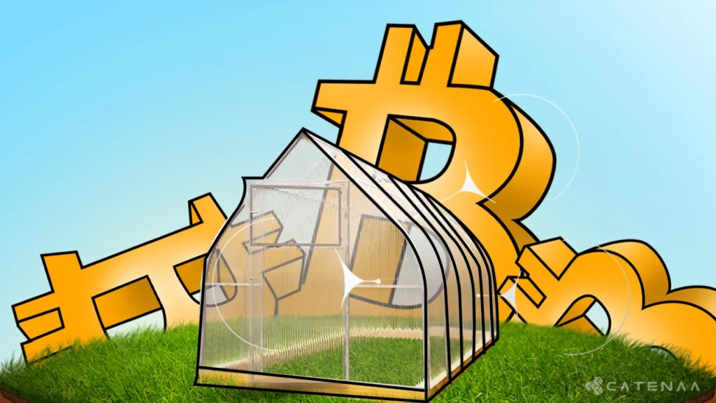 Bitcoin mining heat warms greenhouse