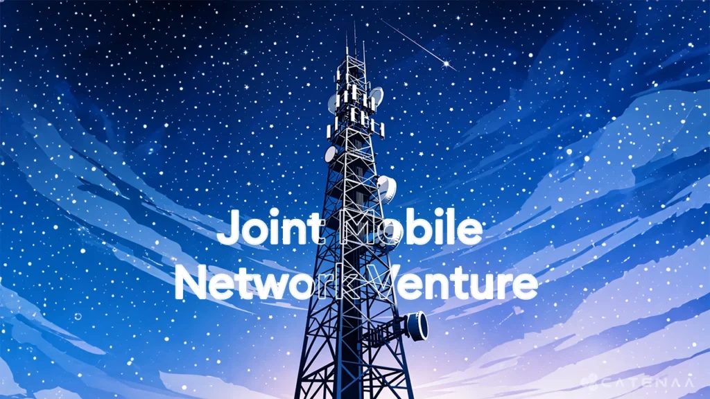 Spanish telcos explore joint network plan