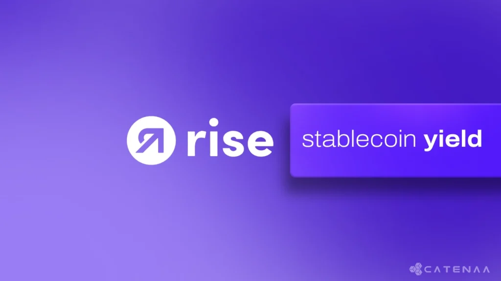 Rise adds USDC yield to payroll system