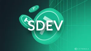 Tether-Backed SDEV Bet Signals Capital Shift