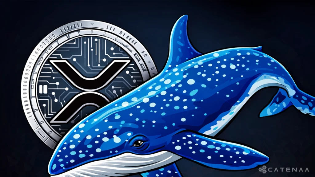 XRP Tokyo whale activity and adoption