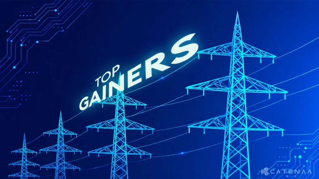 Top Large-Cap Gainers: May 11–15 Review