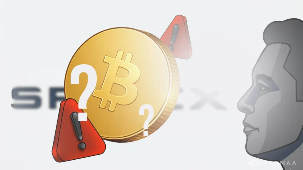 Did SpaceX IPO Trigger Bitcoin Selloff