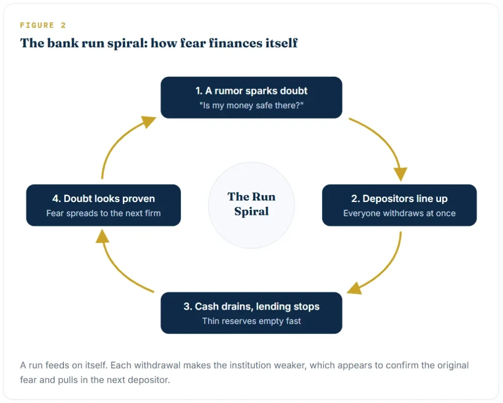 A run feeds on itself. Each withdrawal makes the institution weaker, which appears to confirm the original fear and pulls in the next depositor.