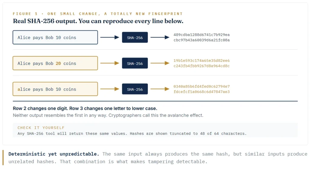 Deterministic yet unpredictable. The same input always produces the same hash, but similar inputs produce unrelated hashes. That combination is what makes tampering detectable.