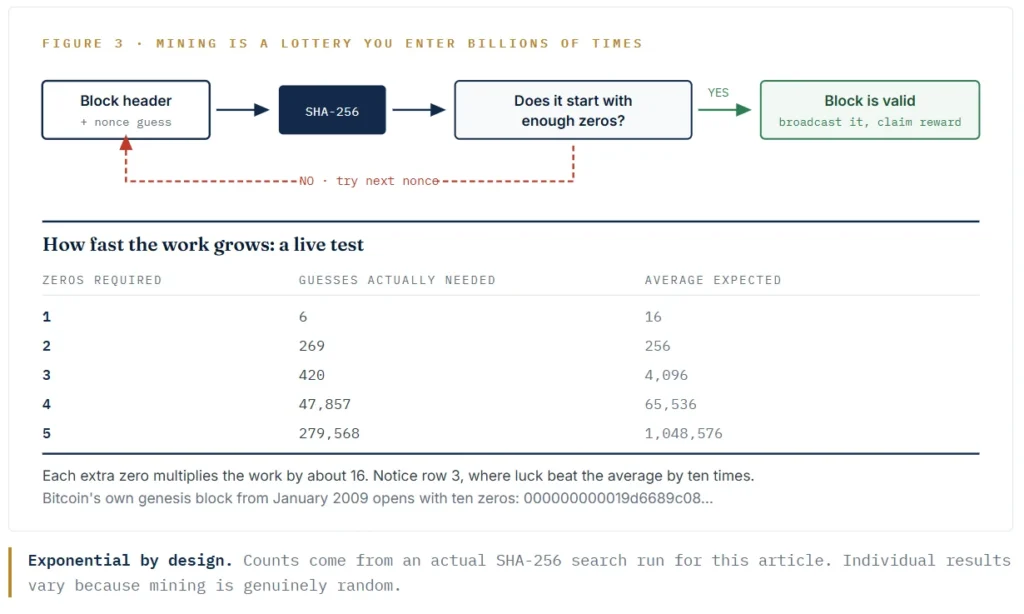 Exponential by design. Counts come from an actual SHA-256 search run for this article. Individual results vary because mining is genuinely random.