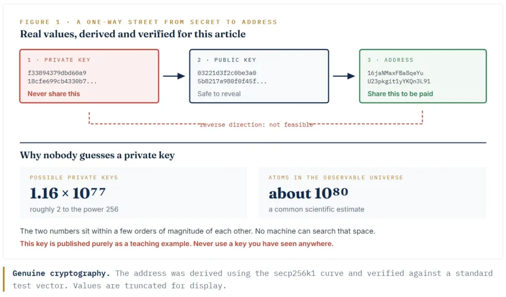 Genuine cryptography. The address was derived using the secp256k1 curve and verified against a standard test vector. Values are truncated for display.