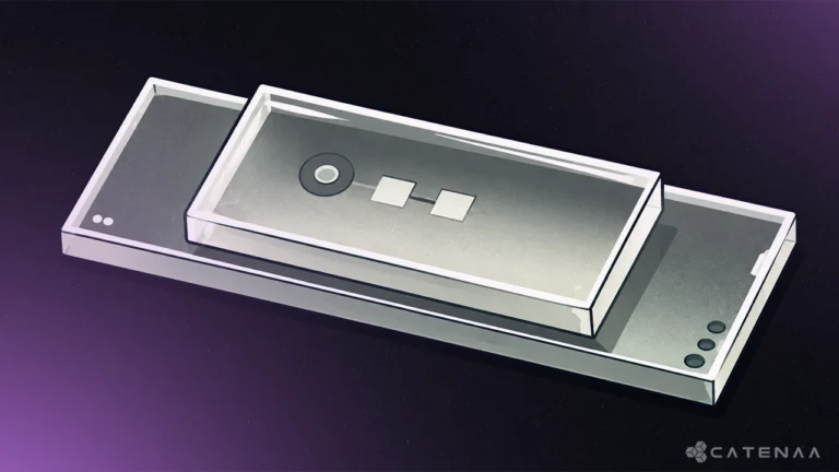 Quantum data stored in tiny vibrations